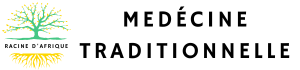 Logo MedÃ©cine traditionnelle africaine